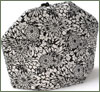 Tea Cozy - Black and Bloom