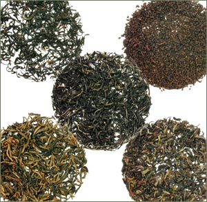 Single-Estate Black Tea Sampler