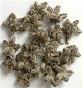 Star of China Tea