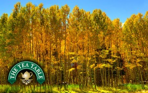 Fall Aspen 2014 - Laramie River Valley, Colorado