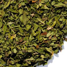 Northwest Peppermint Tea