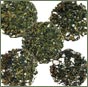 Oolong Tea Sampler