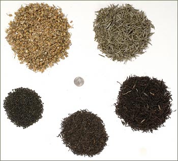 How Much Loose Leaf Tea per Cup